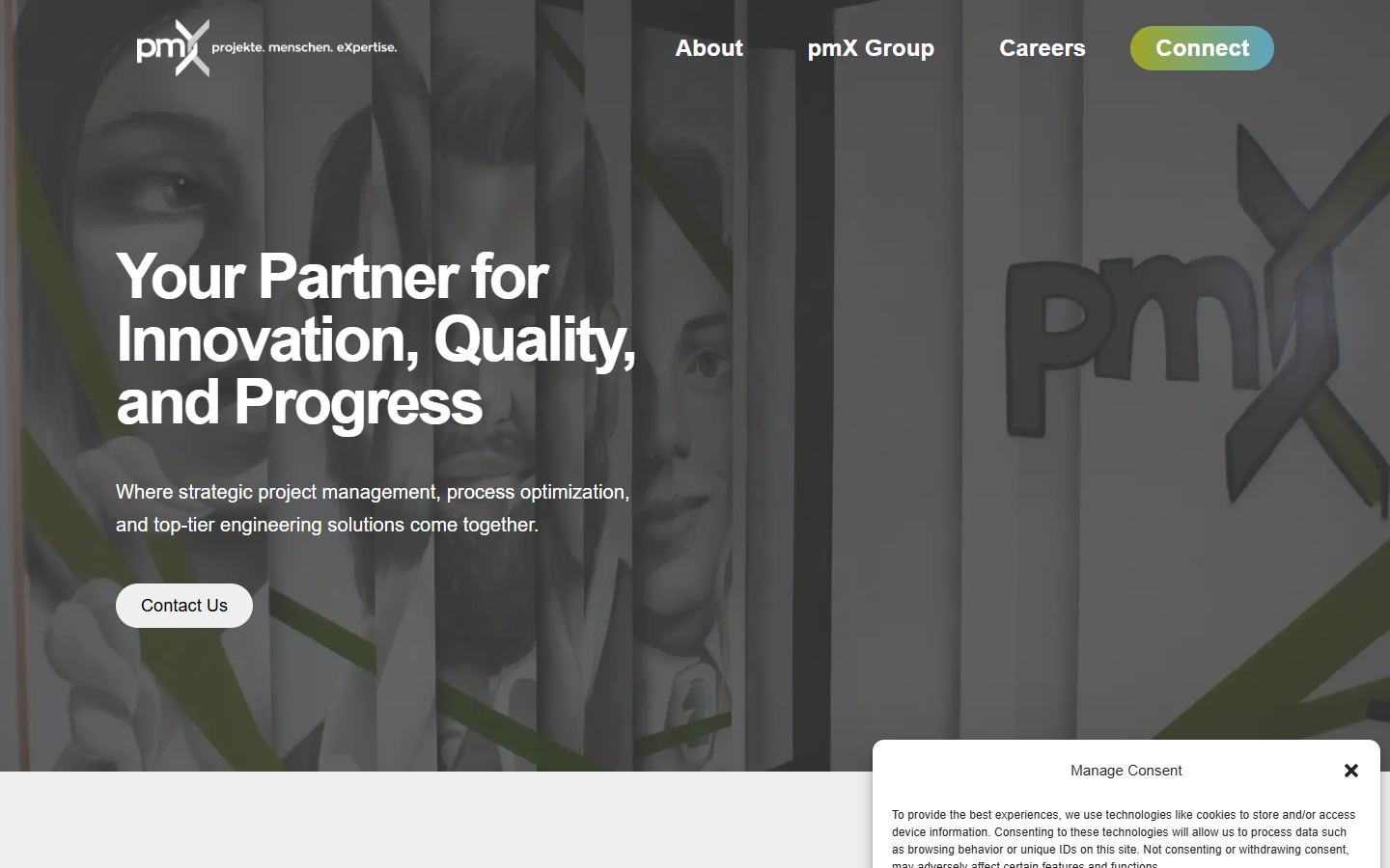 pmX Group website preview